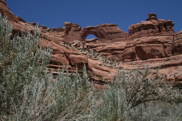 Nevills Arch