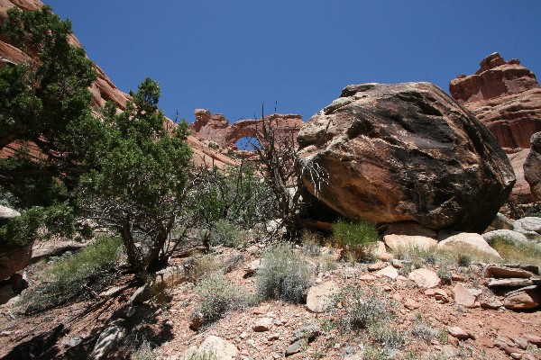 Nevills Arch