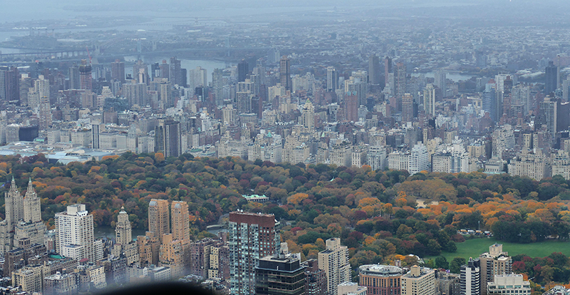 New York City Marathon 2018