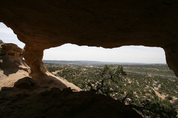 New Mexico 168 [NM-168]