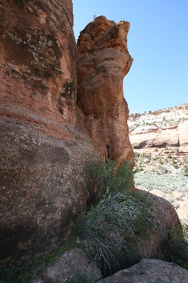 No Thoroughfare Canyon