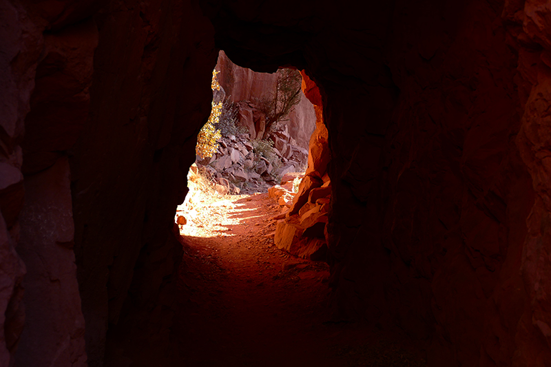 North Kaibab Trail [Grand Canyon]