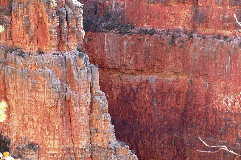 North Kaibab Trail [Grand Canyon]