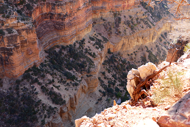 North Kaibab Trail [Grand Canyon National Park]