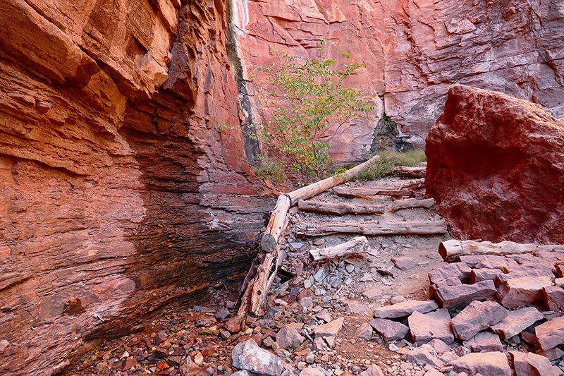 North Kaibab Trail [Grand Canyon]