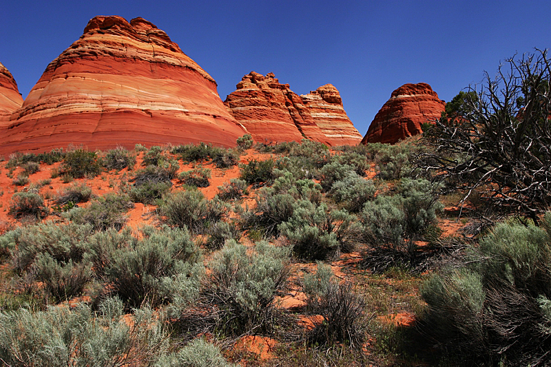 North Teepes Coyote Buttes