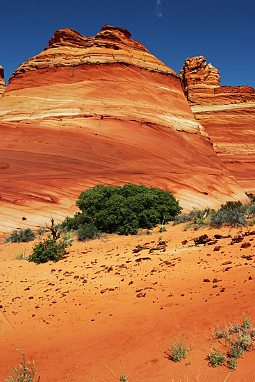 North Teepes Coyote Buttes