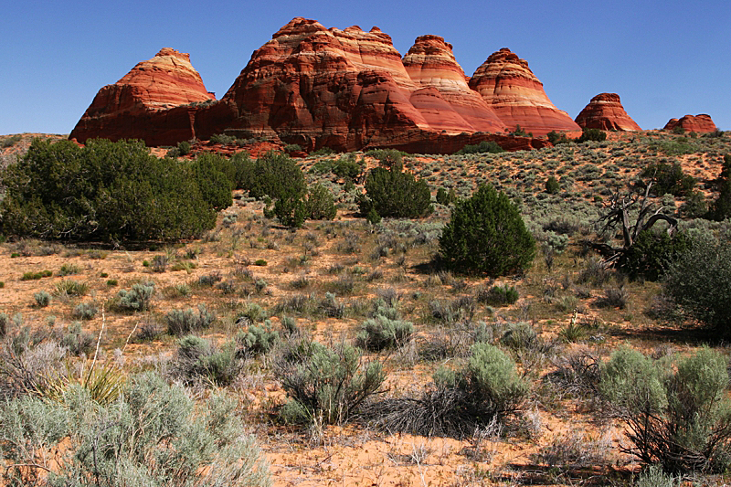 North Teepes Coyote Buttes