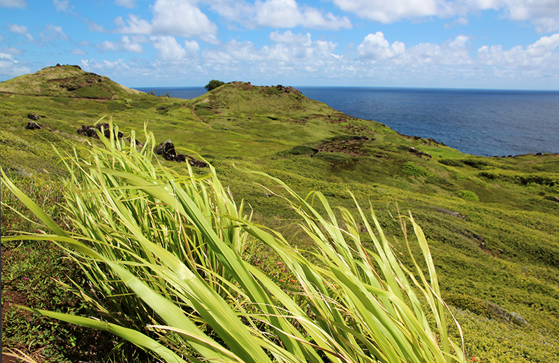 Papanalahoa Point - Ohai Trail