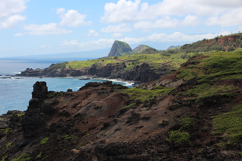 Papanalahoa Point - Ohai Trail