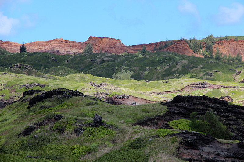 Papanalahoa Point - Ohai Trail