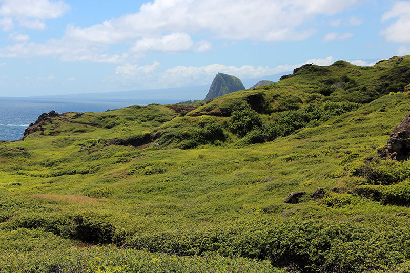 Papanalahoa Point - Ohai Trail