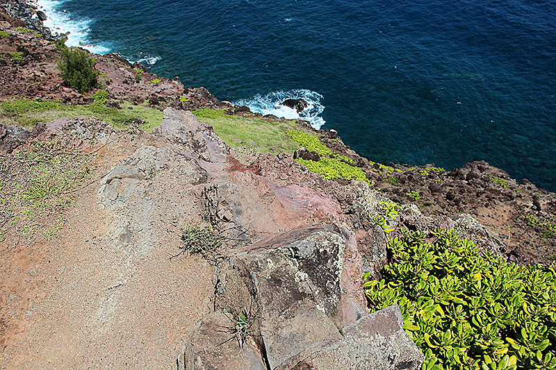 Papanalahoa Point - Ohai Trail