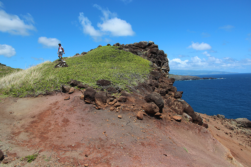 Papanalahoa Point - Ohai Trail