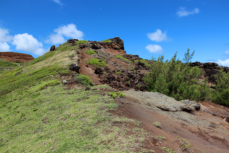 Papanalahoa Point - Ohai Trail