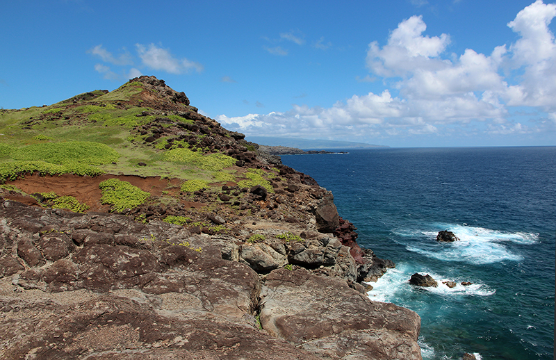 Papanalahoa Point - Ohai Trail