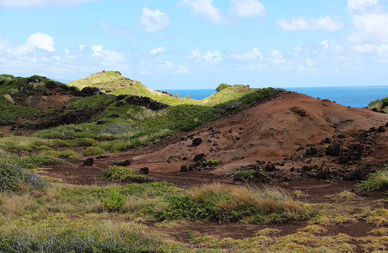 Papanalahoa Point - Ohai Trail