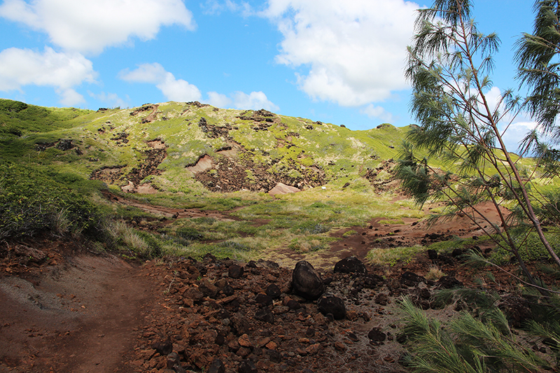 Papanalahoa Point - Ohai Trail