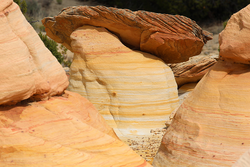 Ojito Wilderness - Hoodoo Trail [Arroyo Bernalillito]