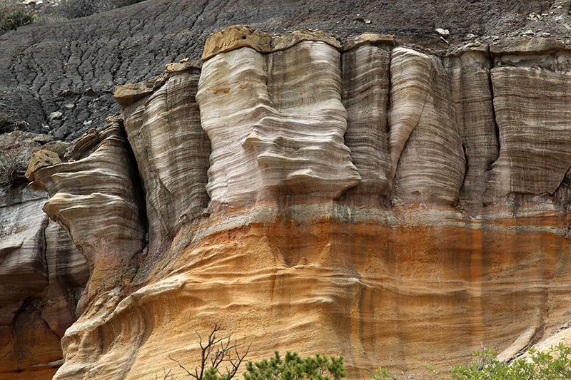 Ojito Wilderness