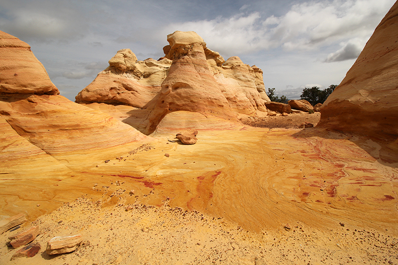 Ojito Wilderness [Arroyo Bernalillito]