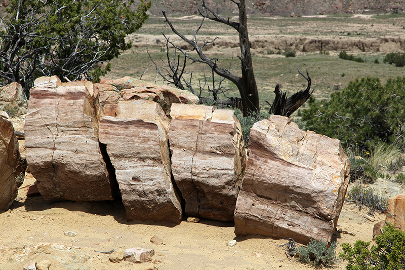 Ojito Wilderness [Arroyo Bernalillito]