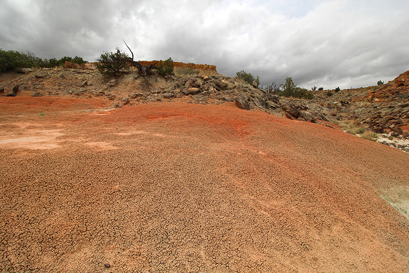 Ojito Wilderness [Arroyo Bernalillito]