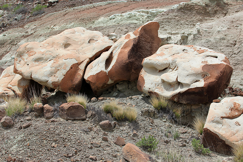 Ojito Wilderness [Arroyo Bernalillito]