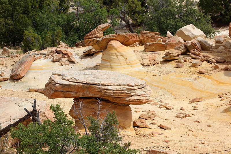 Ojito Wilderness [Arroyo Bernalillito]