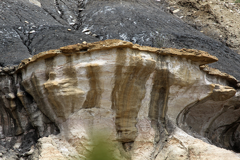 Ojito Wilderness [Arroyo Bernalillito]