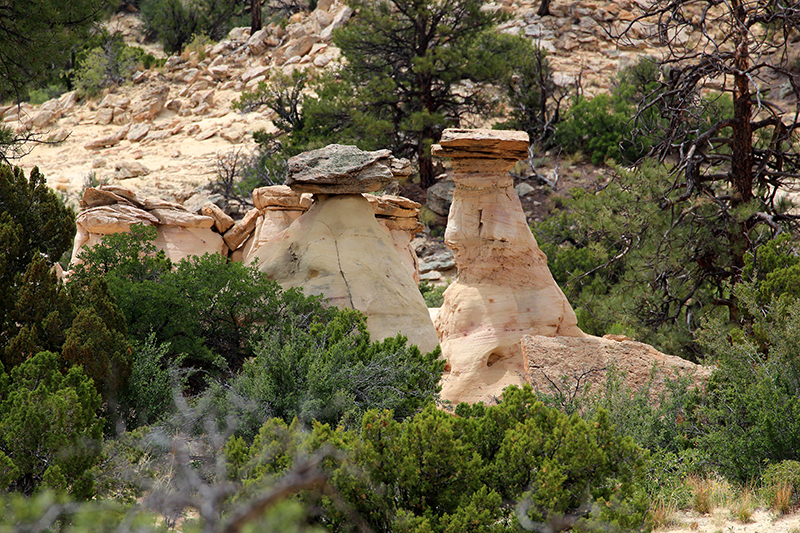 Ojito Wilderness [Arroyo Bernalillito]