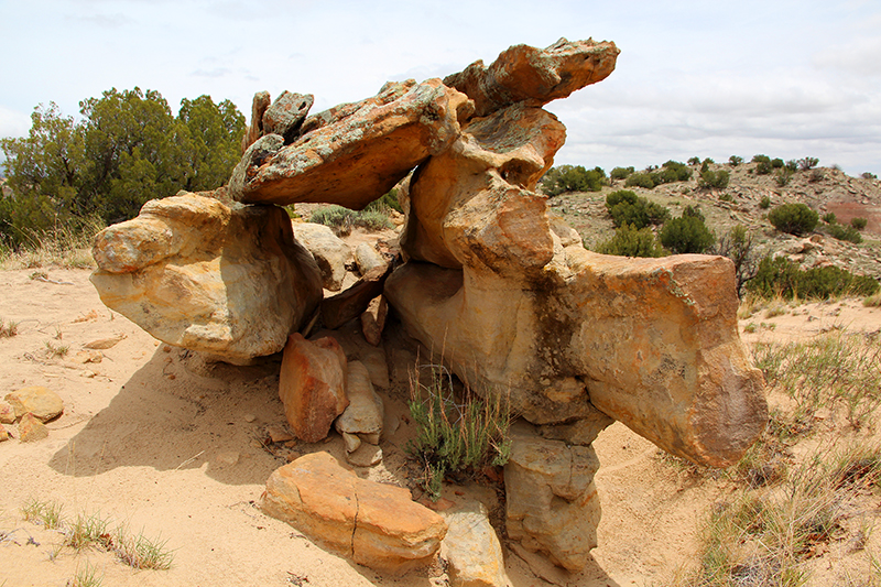 Ojito Wilderness [Arroyo Bernalillito]