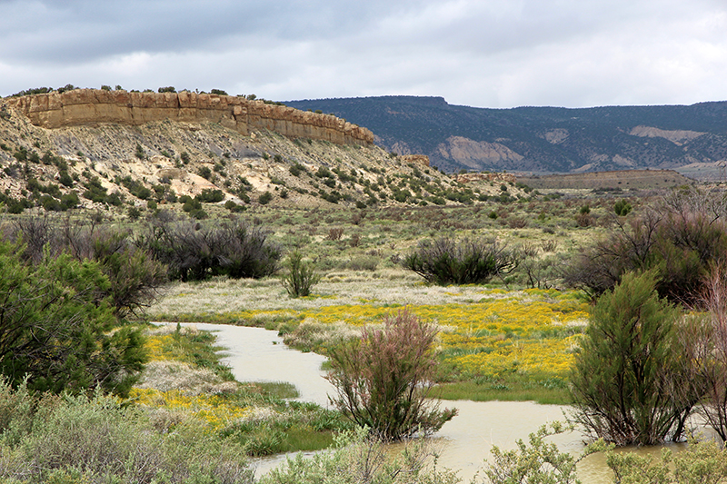 Ojito Wilderness [Arroyo Bernalillito]