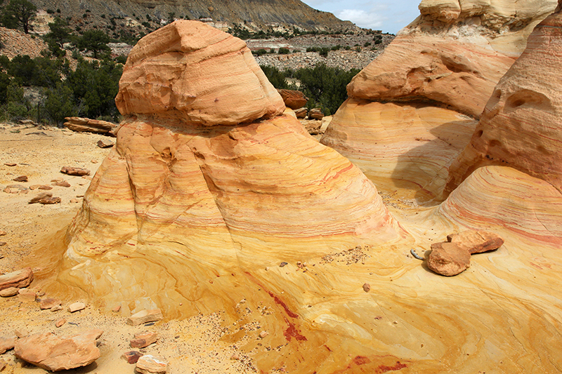 Ojito Wilderness [Arroyo Bernalillito]