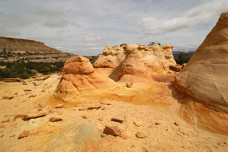 Ojito Wilderness [Arroyo Bernalillito]