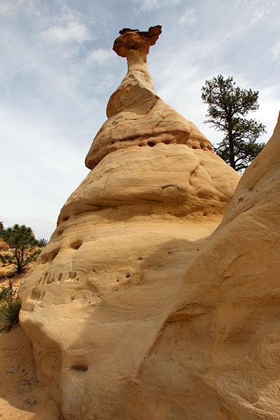 Ojito Wilderness [Arroyo Bernalillito]