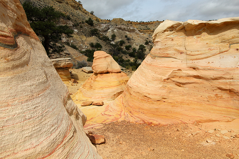 Ojito Wilderness [Arroyo Bernalillito]