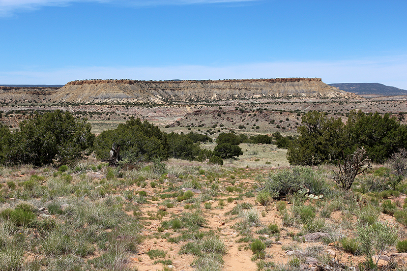 Ojito Wilderness [Arroyo Bernalillito]