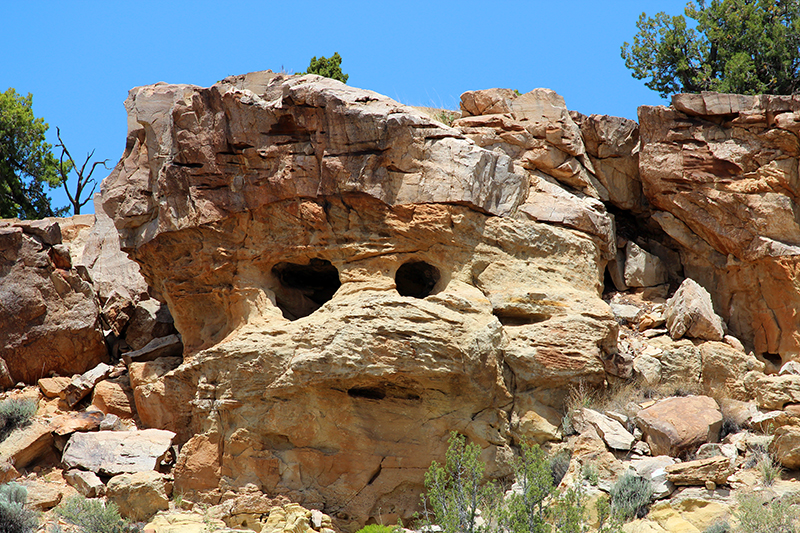 Ojito Wilderness [Arroyo Bernalillito]