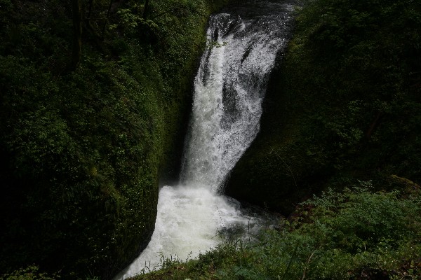 Oneonta Falls