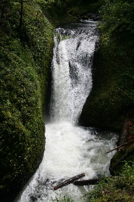Oneonta Falls