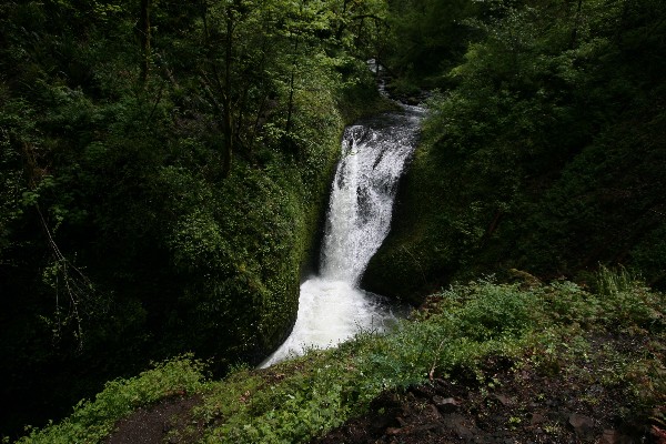 Oneonta Falls