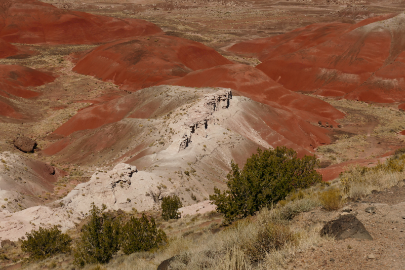 Onyx Bridge [Petrified Forest National Park]