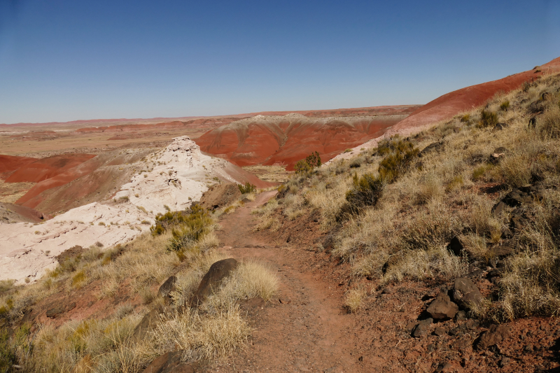 Onyx Bridge [Petrified Forest National Park]