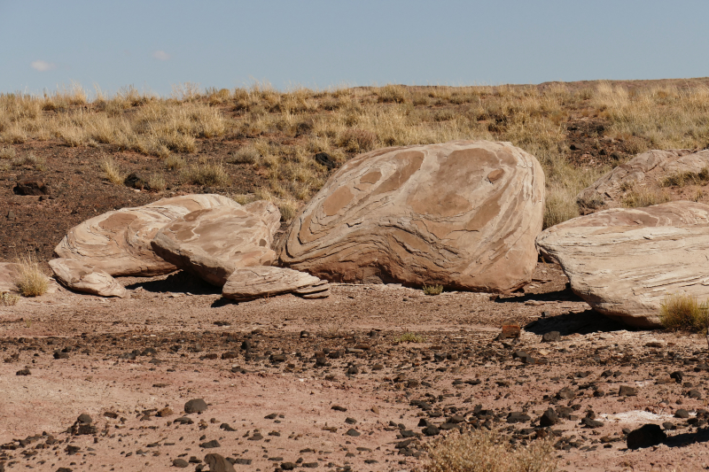 Onyx Bridge [Petrified Forest National Park]