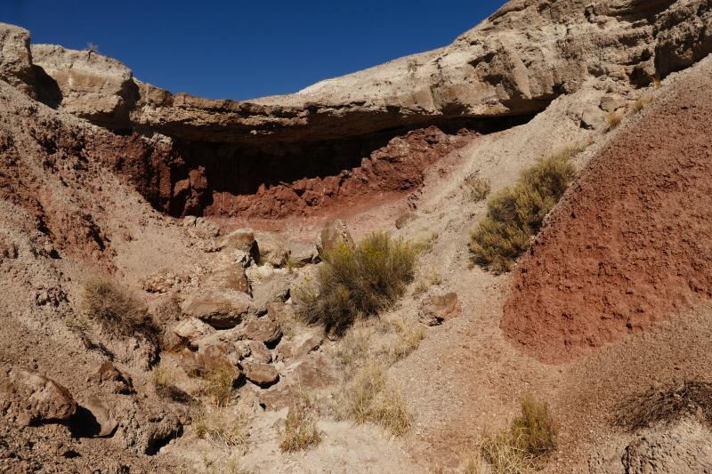 Onyx Bridge [Petrified Forest National Park]