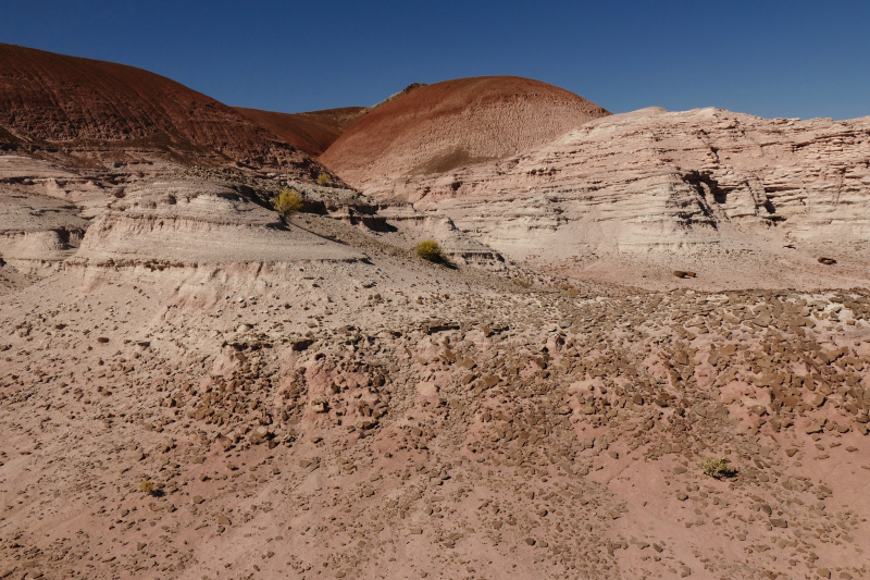 Onyx Bridge [Petrified Forest National Park]