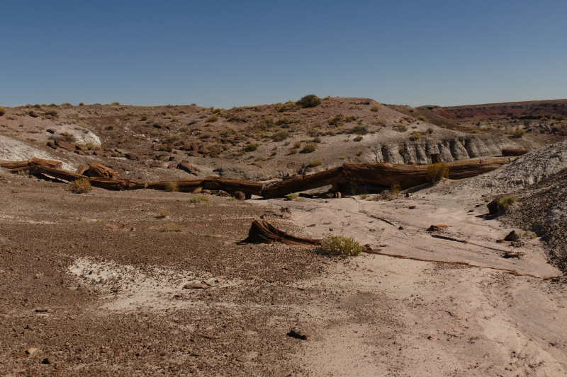 Onyx Bridge [Petrified Forest National Park]