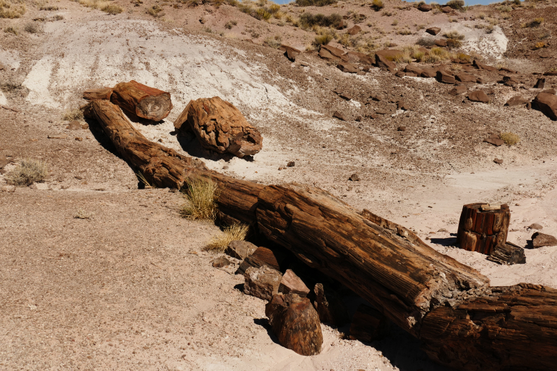 Onyx Bridge [Petrified Forest National Park]