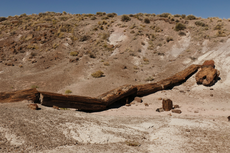 Onyx Bridge [Petrified Forest National Park]